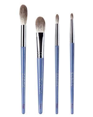 Πινέλα FOXY Set